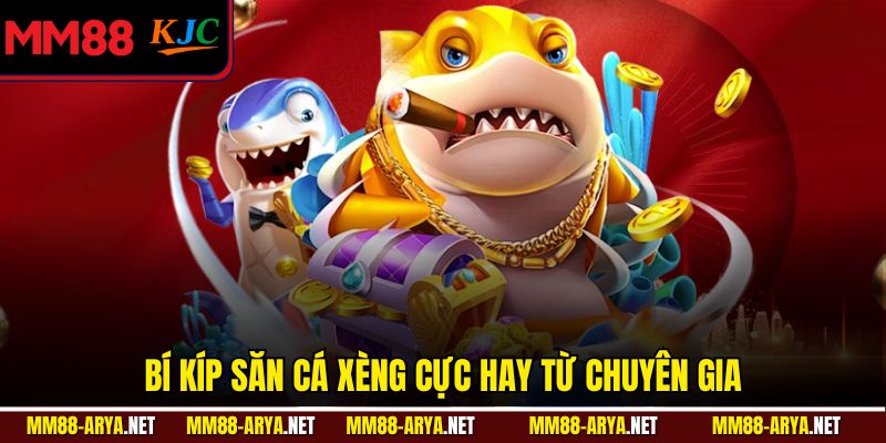 Bí kíp săn cá xèng cực hay từ chuyên gia