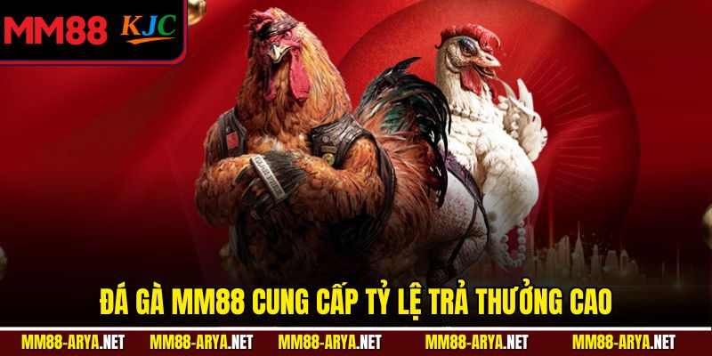 Đá gà MM88 cung cấp tỷ lệ trả thưởng cao