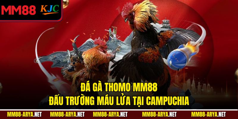 Đá Gà Thomo