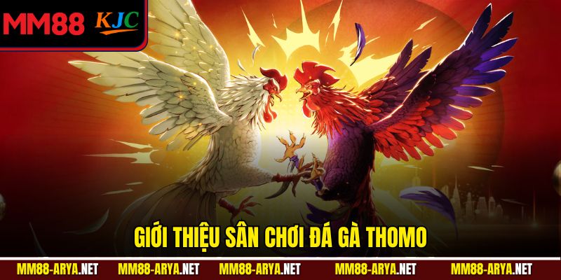 Giới thiệu sân chơi đá gà Thomo